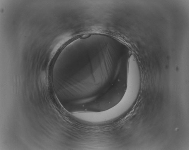 X0000062850200200602101610