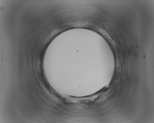 X0000062850201200602101610