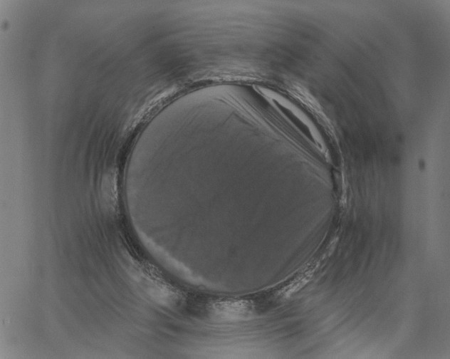 X0000062850202200602101610