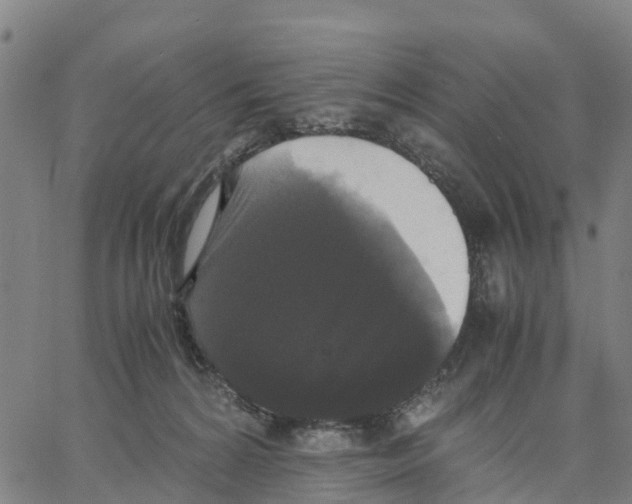 X0000062850224200602101610