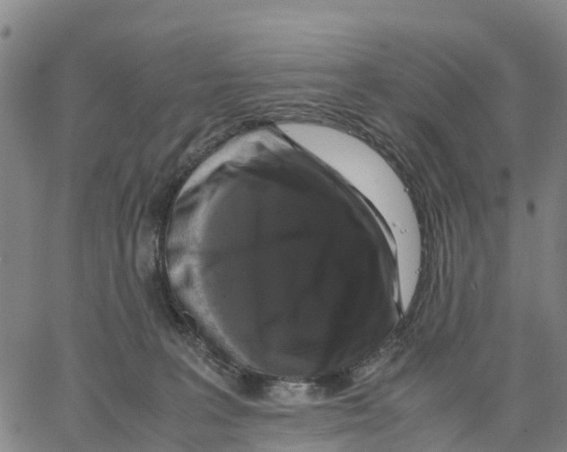 X0000062850227200602101610