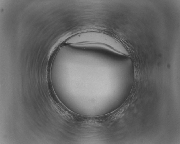 X0000062850244200602101608