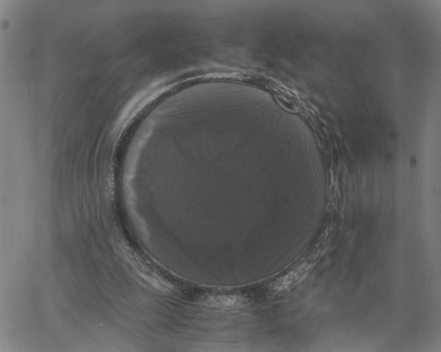 X0000062850247200602101609