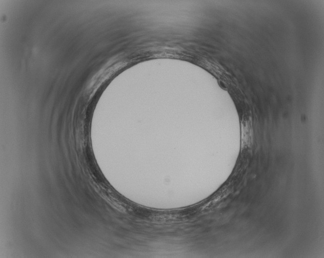 X0000062850291200602101608