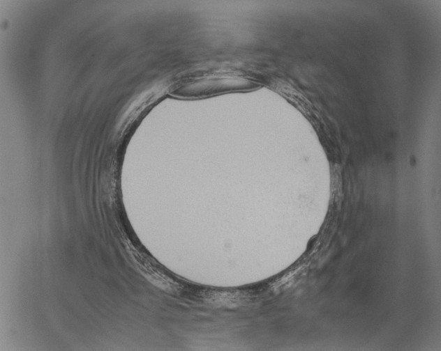 X0000062850293200602101608