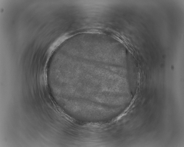 X0000062850294200602101608