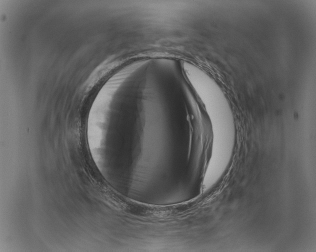 X0000062850295200602101608