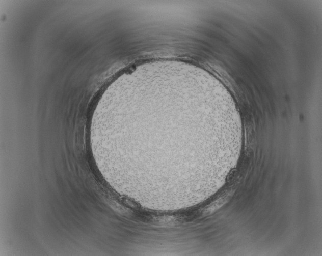 X0000062850301200602101608