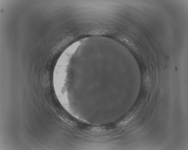 X0000062850303200602101608