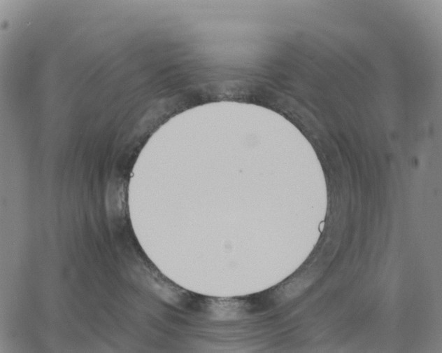 X0000062850336200602101608
