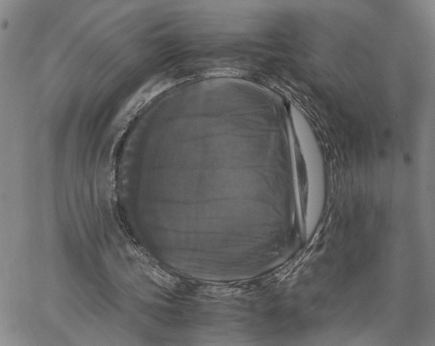 X0000062850339200602101607