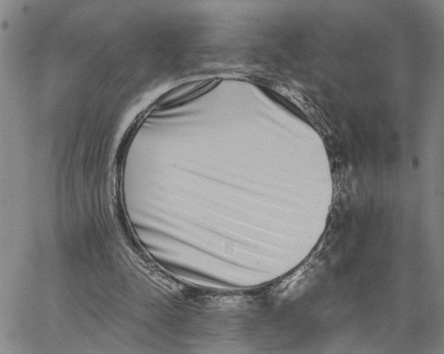 X0000062850342200602101607