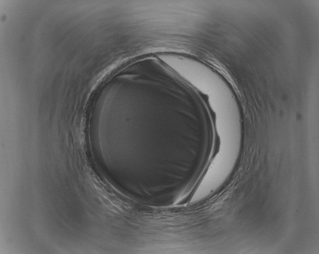 X0000062850387200602101607