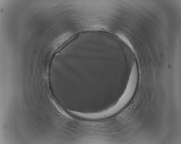 X0000062850389200602101607