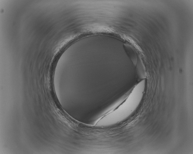 X0000062850391200602101607