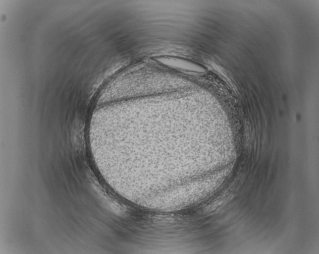 X0000062850394200602101607