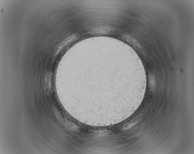 X0000062850396200602101607