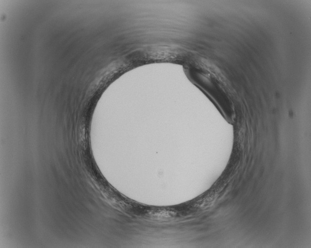 X0000062850407200602101607