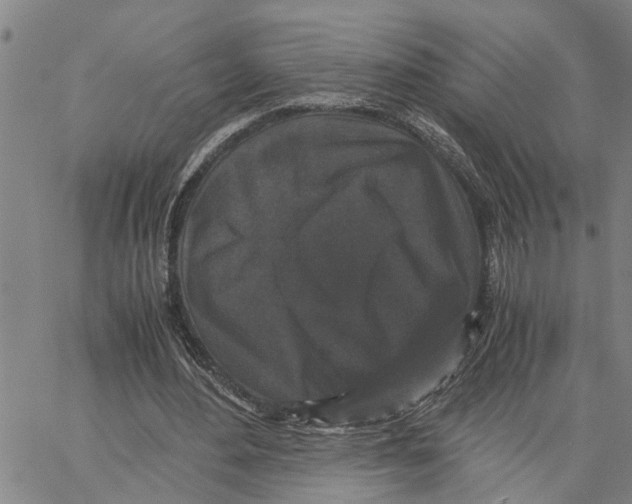 X0000062850484200602101605