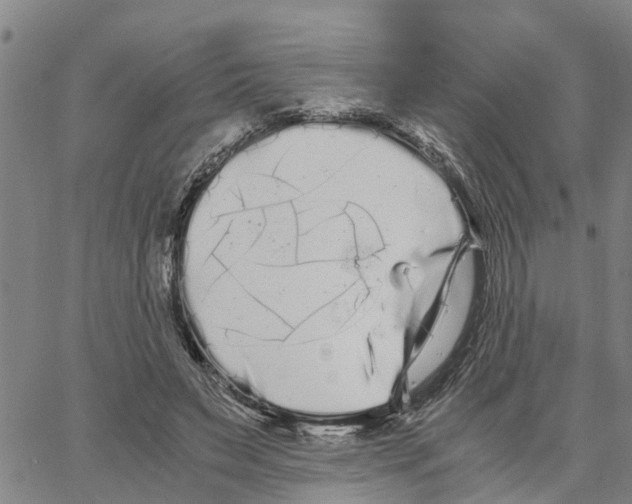 X0000062850495200602101605