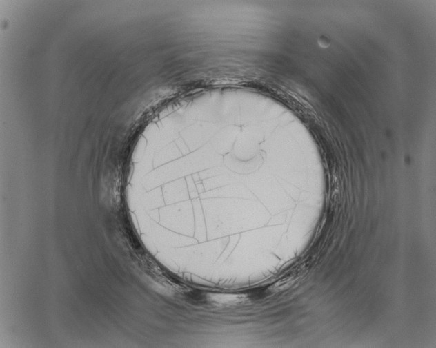 X0000062850499200602101605