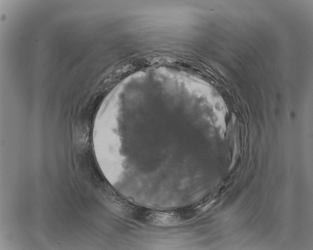 X0000062850507200602101605