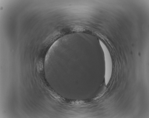 X0000062850517200602101605
