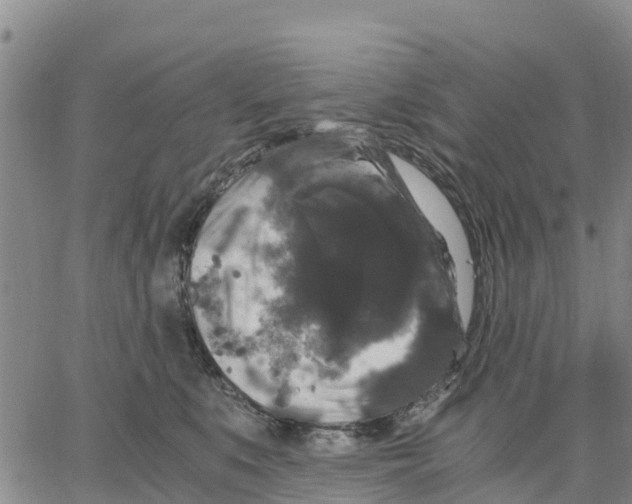 X0000062850519200602101605