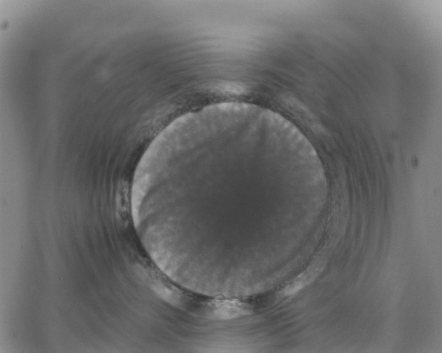 X0000062850528200602101605
