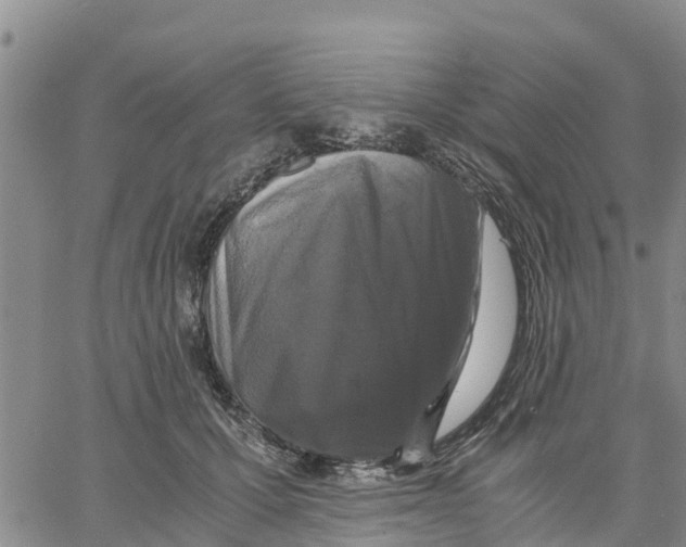 X0000062850607200602101603
