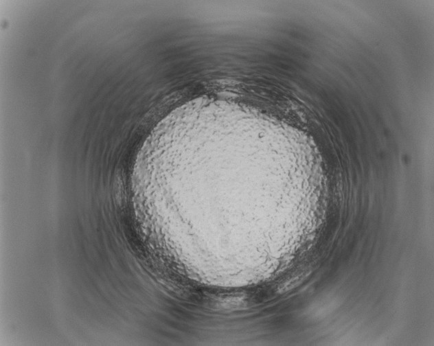 X0000062850651200602101603
