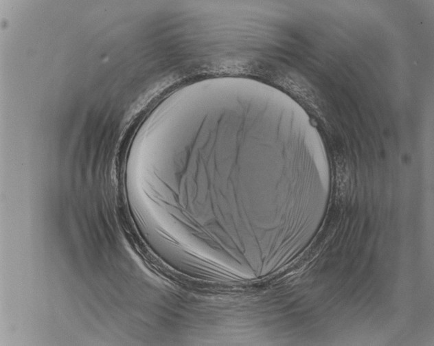 X0000062850674200602101602