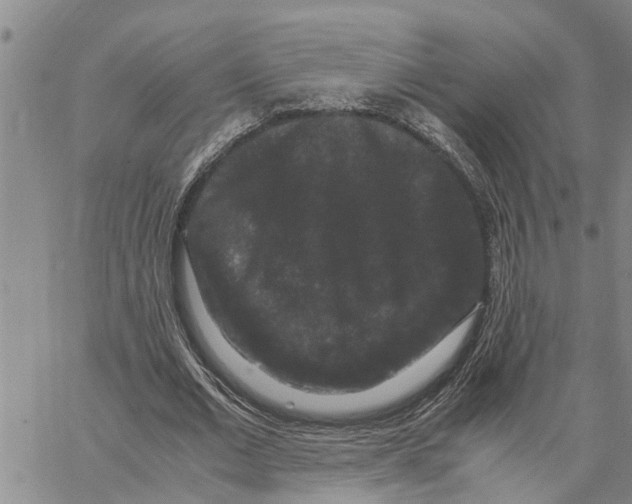 X0000062850677200602101602