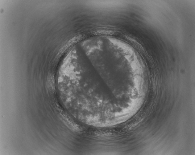 X0000062850729200602101601