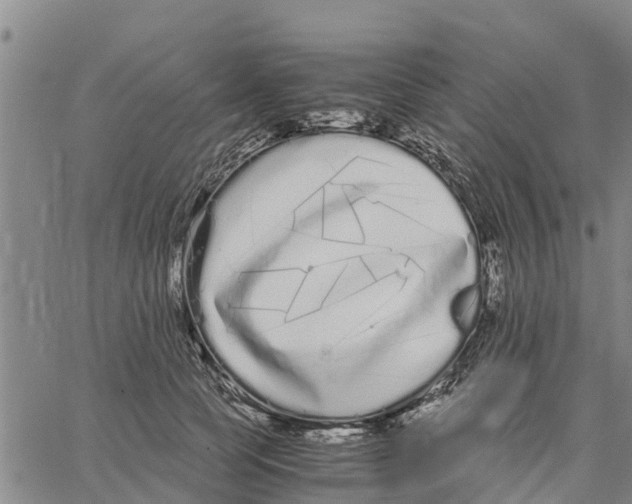 X0000062850745200602101601
