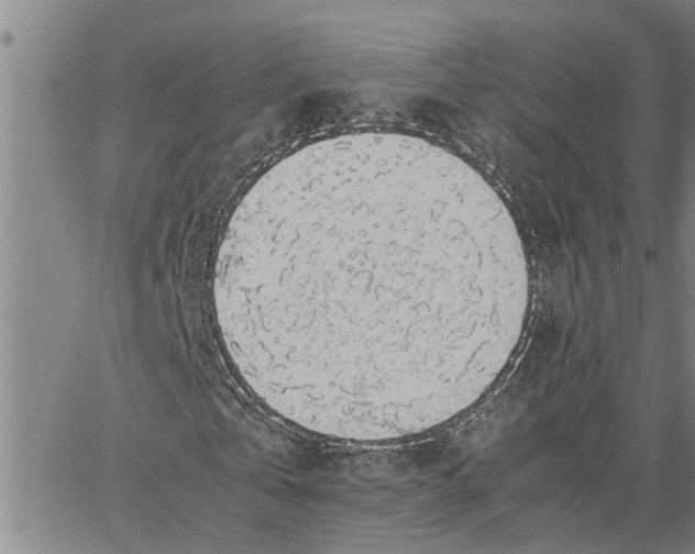 X0000062850769200602101601