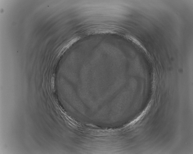 X0000062850777200602101601