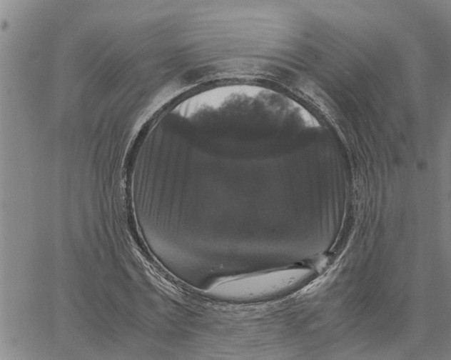 X0000062850779200602101601