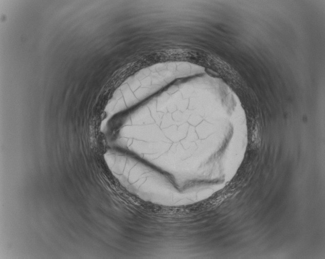 X0000062850819200602101559