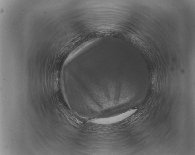X0000062850868200602101559