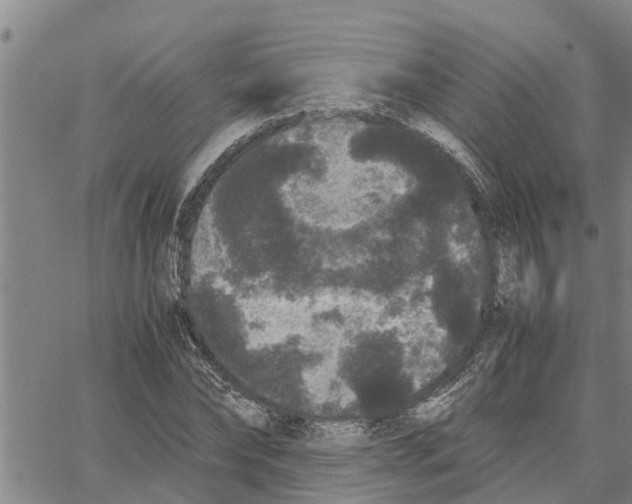 X0000062850878200602101559