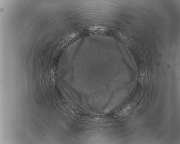 X0000062851010200602101556