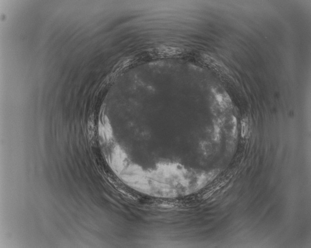 X0000062851011200602101556