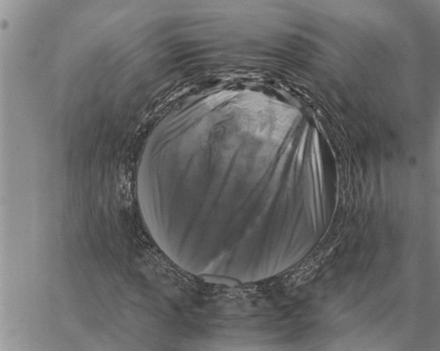 X0000062851013200602101556