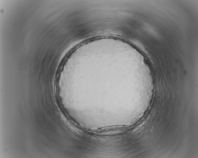 X0000062851032200602101556