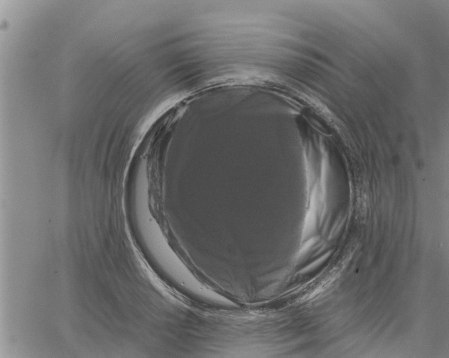 X0000062851034200602101556