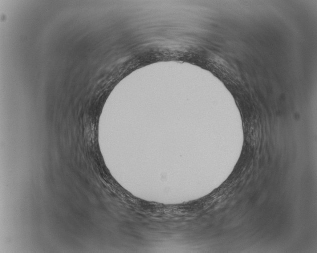 X0000062851061200602101556