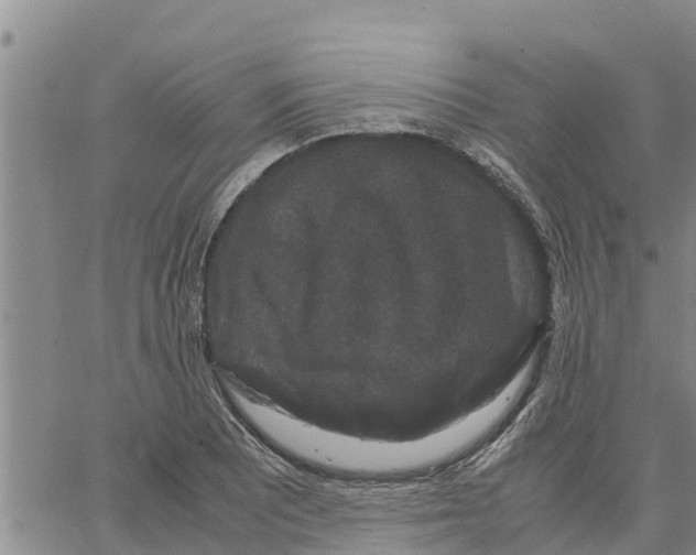 X0000062851081200602101556