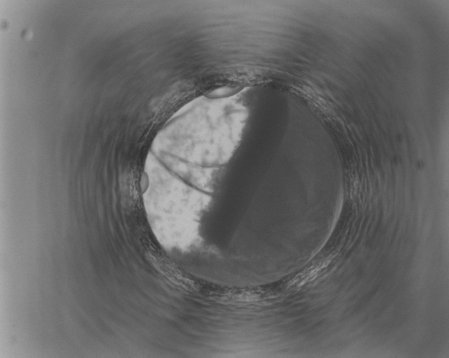 X0000062851106200602101554