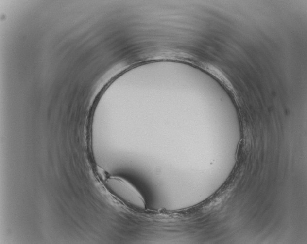 X0000062851138200602101555
